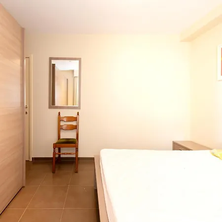 Pet-friendly In Apartment
